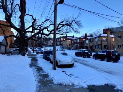 Terrace Avenue, Clifton, Cincinnati, OH 