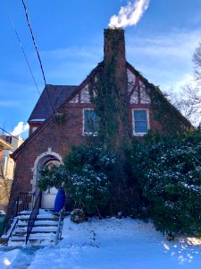 Terrace Avenue, Clifton, Cincinnati, OH 