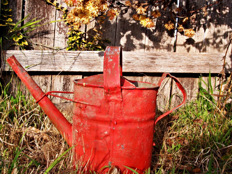 Rusty garden abandoned