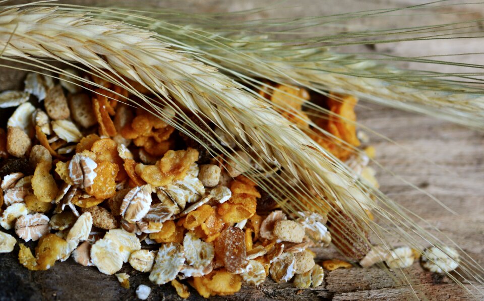 Spike nutrition grain
