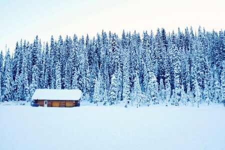 Cold snow abandoned