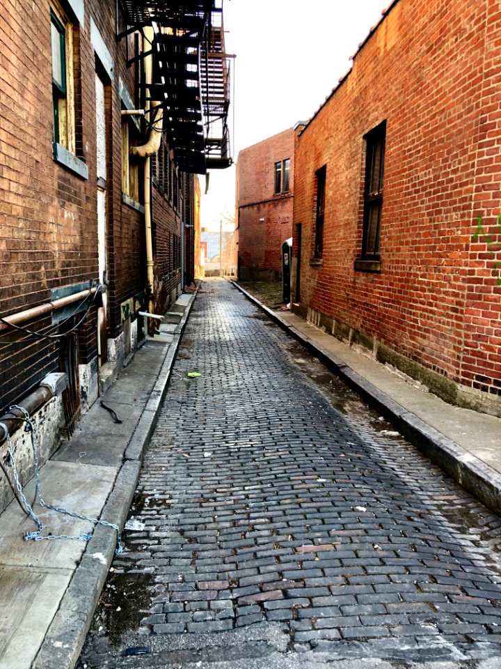 Sedalia Alley, Walnut Hills, Cincinnati, OH 