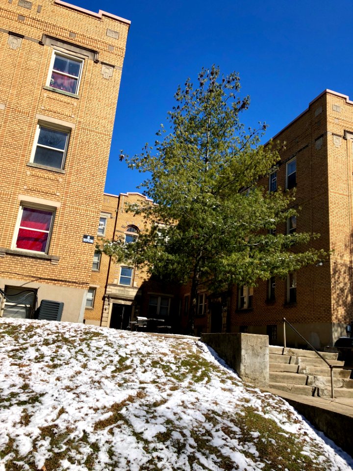 The Ghoulson Apartments, North Avondale, Cincinnati, OH 