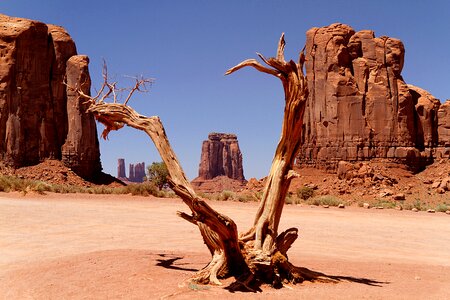 Usa navajo west photo