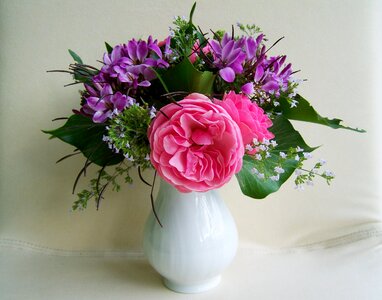 Bunch of flowers color cut flower