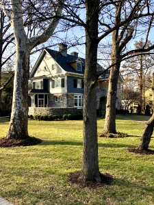 Annwood Street, East Walnut Hills, Cincinnati, OH 