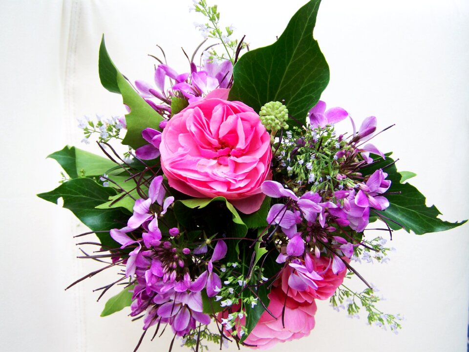Bunch of flowers color cut flower