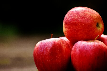 Fruit ripe red apple