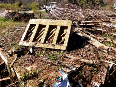 Trailer Ruins, Speedwell, NC 