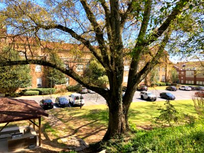 Roosevelt High School (Girls High School), Grant Park, Atl… 