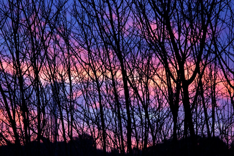 Pink sky beauty nature