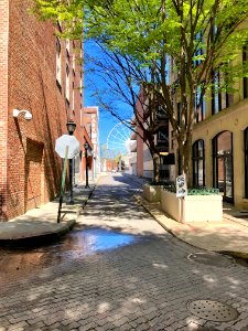 Poplar Street, Atlanta, GA 