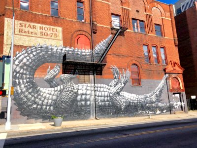 Star Hotel, Hotel Row, Atlanta, GA 