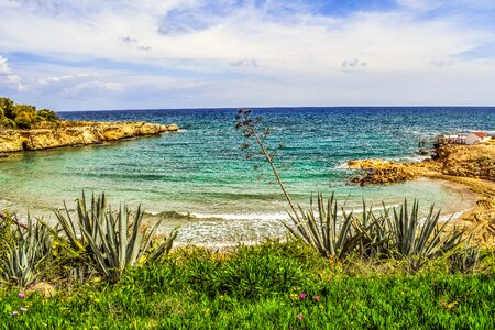 Landscape mediterranean vegetation photo