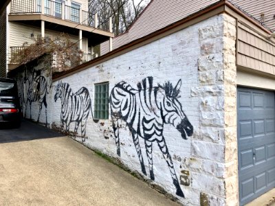 Zebra Mural, Dorsey Street, Mount Auburn, Cincinnati, OH 