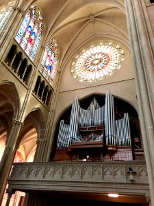 St. Mary's Cathedral Basilica of the Assumption, Eastside,… 