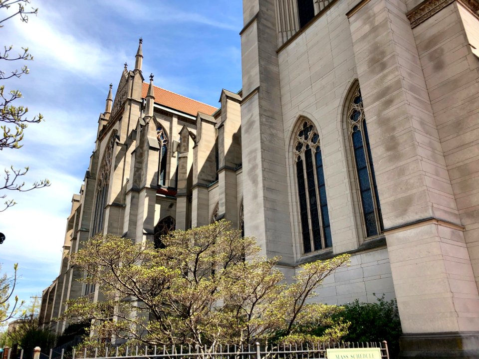 St. Mary's Cathedral Basilica of the Assumption, Eastside,… 