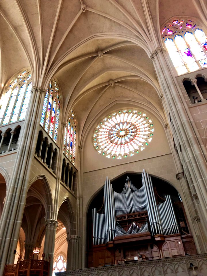 St. Mary's Cathedral Basilica of the Assumption, Eastside,… 