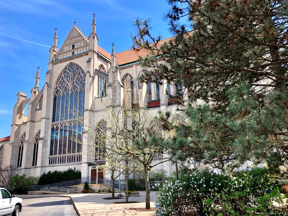 St. Mary's Cathedral Basilica of the Assumption, Eastside,… 