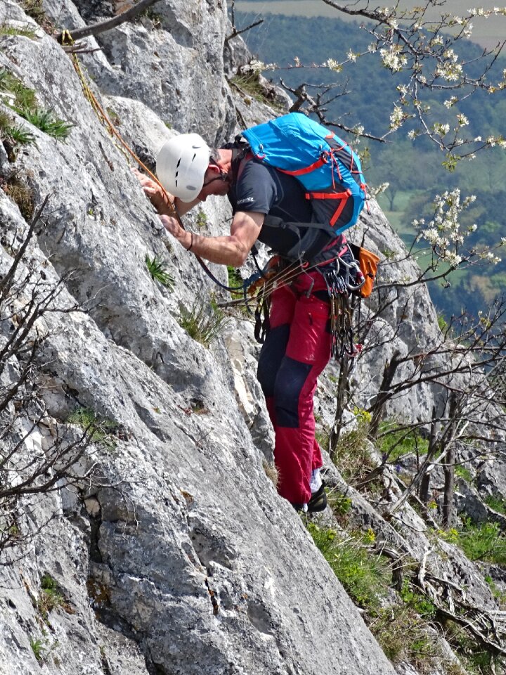 Adventure nature wall