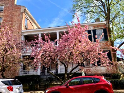 Garrard Street, Licking Riverside, Covington, KY 