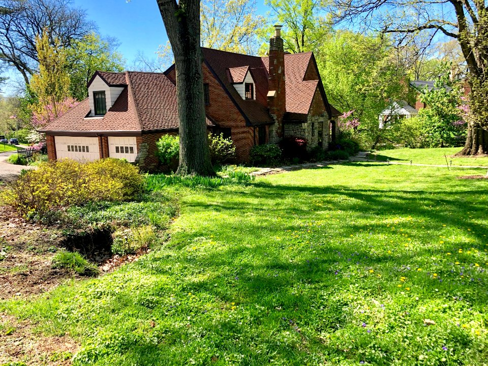 Lafayette Avenue, Clifton, Cincinnati, OH 
