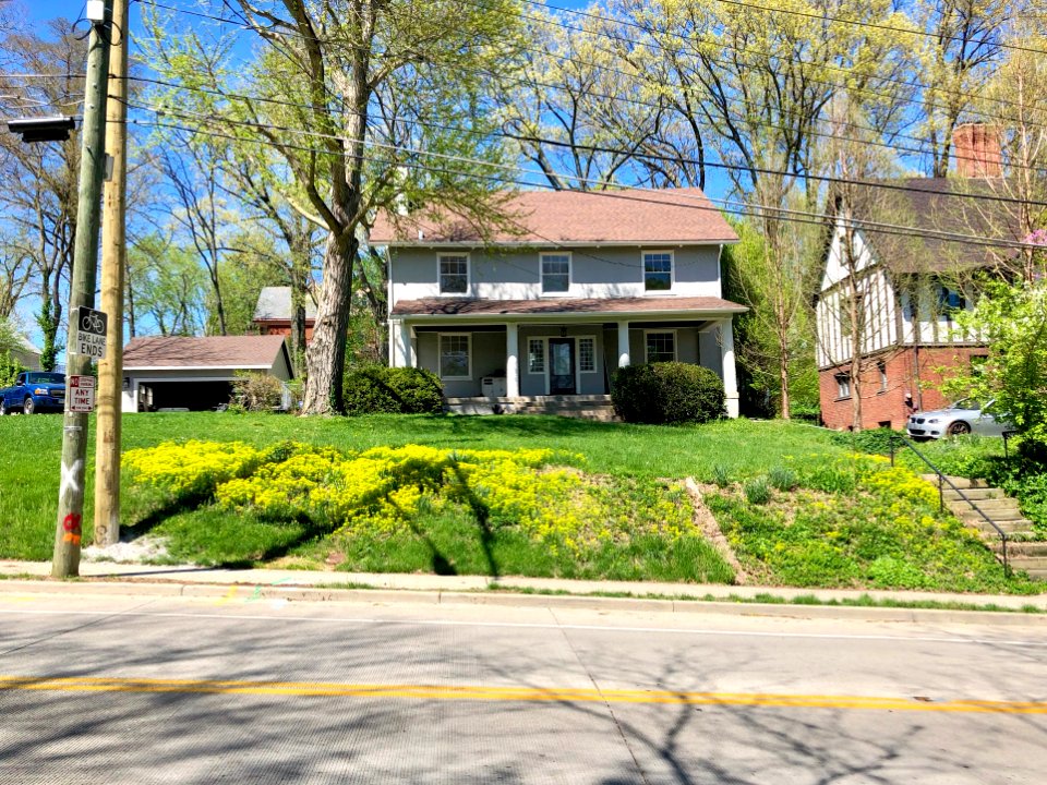 Woolper Avenue, Clifton, Cincinnati, OH 