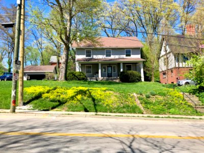 Woolper Avenue, Clifton, Cincinnati, OH 