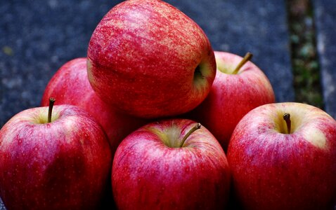 Fruit ripe red apple