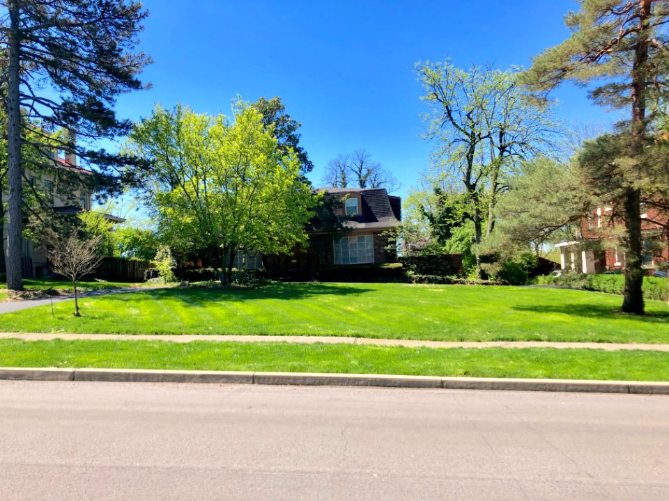 Rose Hill Avenue, North Avondale, Cincinnati, OH 