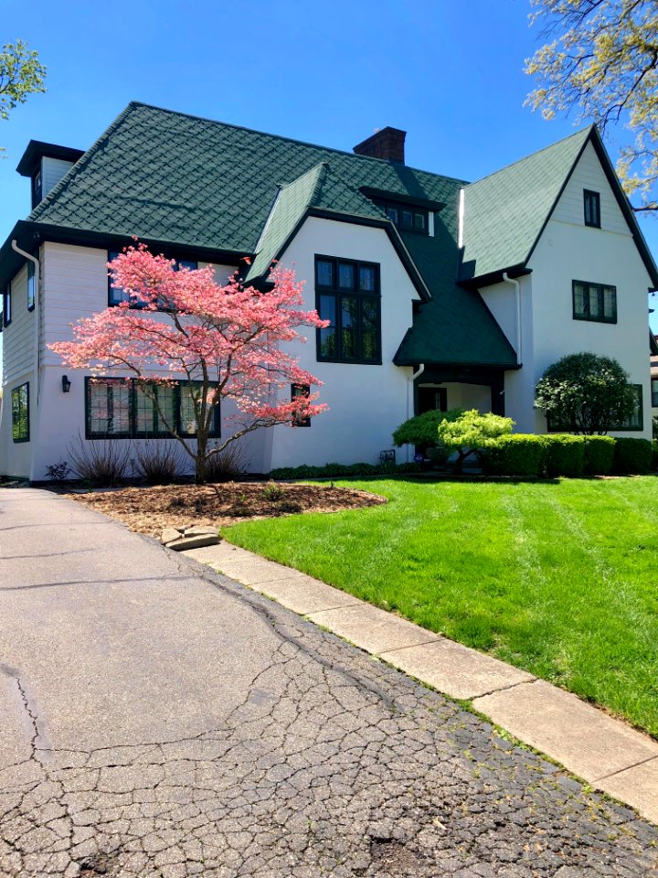 Betula Avenue, North Avondale, Cincinnati, OH 
