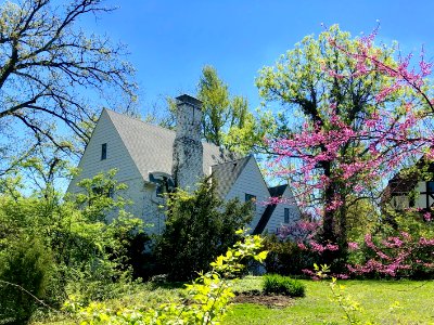 Rose Hill Avenue, North Avondale, Cincinnati, OH 