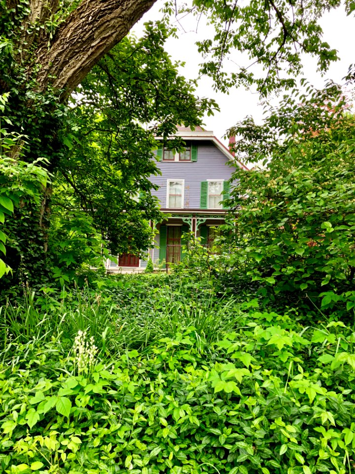 Clifton Avenue, Clifton, Cincinnati, OH 