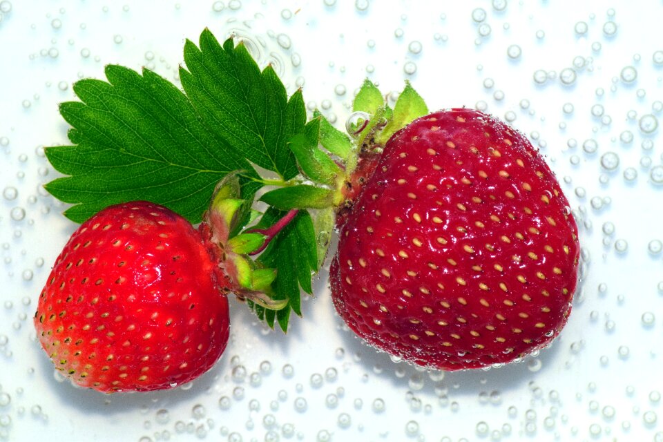 Fruits fruit delicious