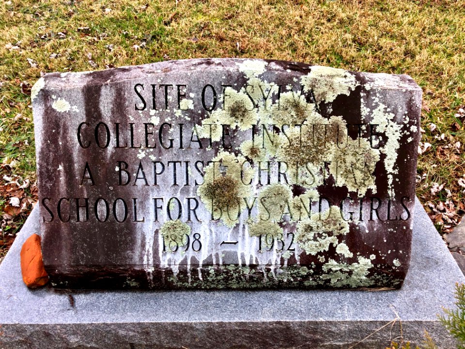 Sylva Collegiate Institute Marker, Sylva, NC 