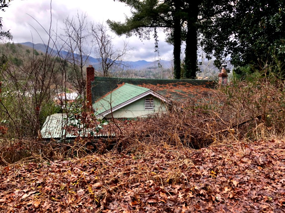 Buzzard's Roost Road, Cullowhee, NC 