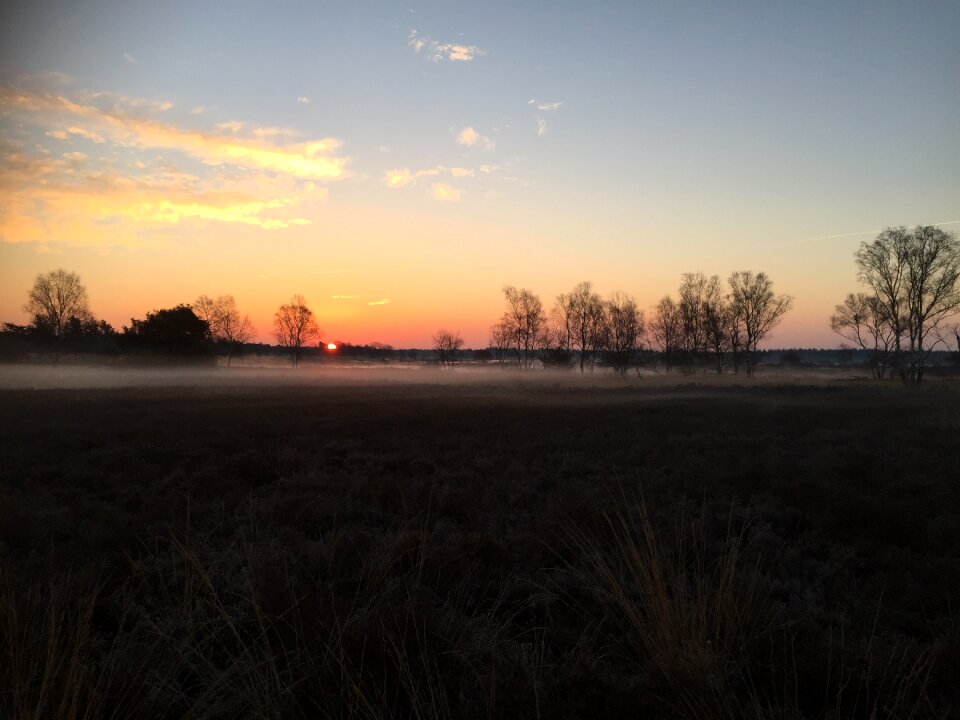 Heide evening nature