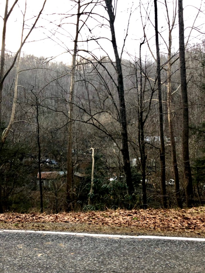 Appalachian Poverty, Willets, NC 