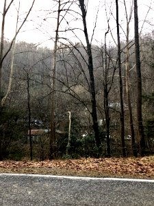 Appalachian Poverty, Willets, NC 