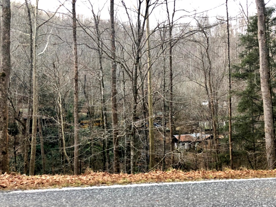 Appalachian Poverty, Willets, NC 
