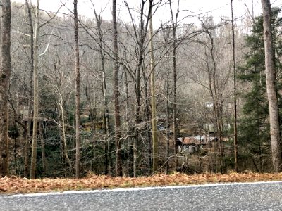 Appalachian Poverty, Willets, NC 