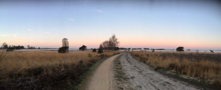 Heide nature landscape