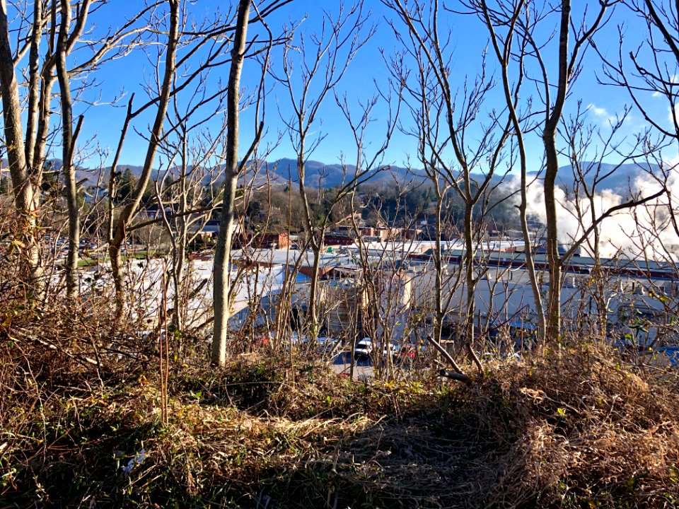 Old Champion Paper Mill, Canton, NC 