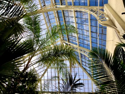 Walled Garden Conservatory, Biltmore Estate, Asheville, NC… 