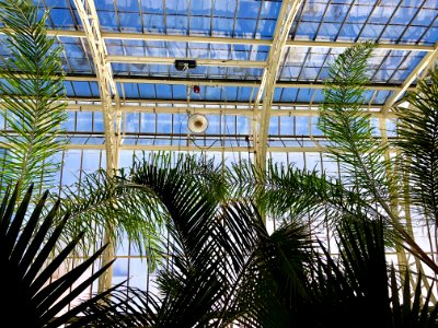 Walled Garden Conservatory, Biltmore Estate, Asheville, NC… 