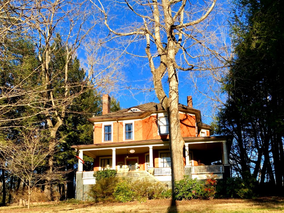 Montford Avenue, Montford, Asheville, NC 