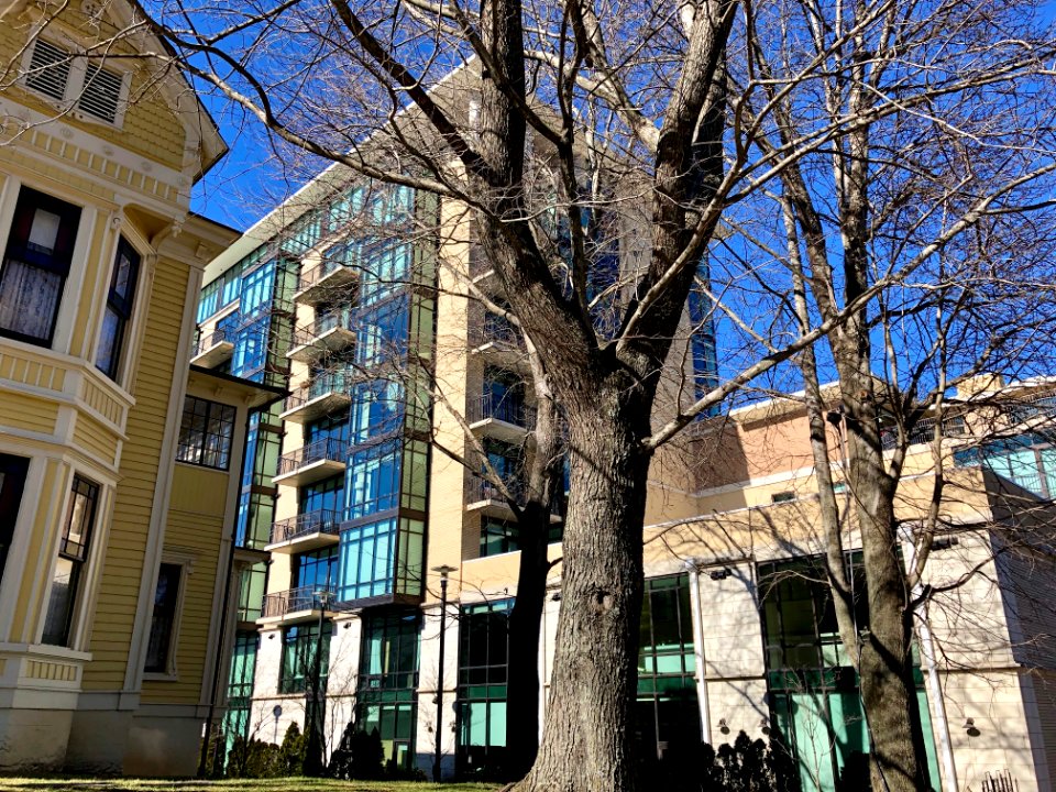 Thomas Wolfe Plaza, Asheville, NC 