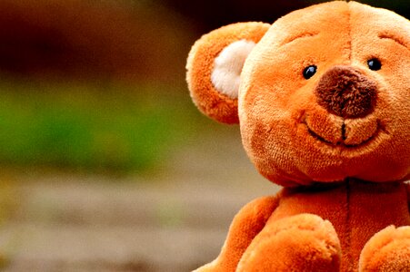 Soft toy teddy bear plush