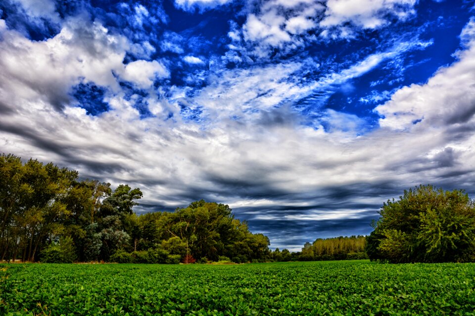Planting clouds field