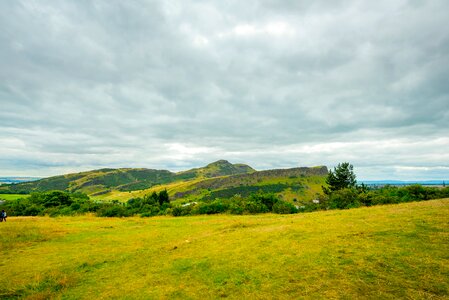 View nature grass photo